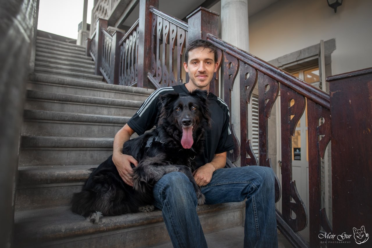 Aviv Pittel working with a dog in a calm home environment, demonstrating the Foundation approach